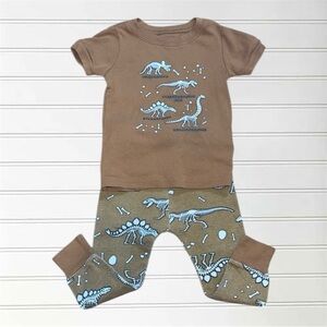 VGUC 100% Cotton Dinosaur Fossils Pajama Set